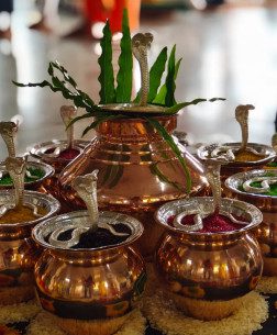 Kaal-Sarp-Dosh-Puja-Ujjain Kaal Sarp Dosh Puja Ujjain
